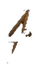 Easy to use